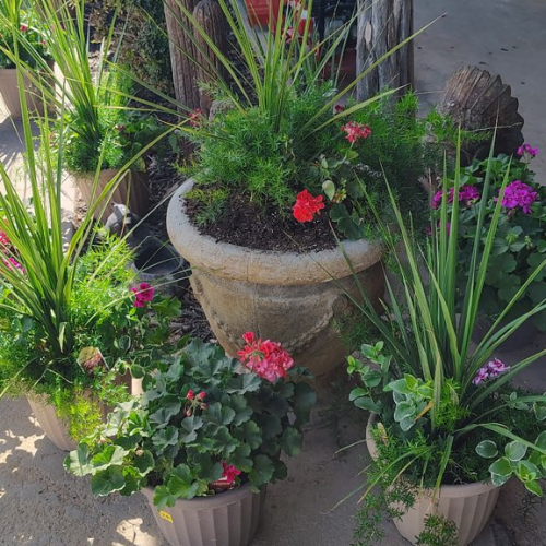 A lush patio garden features a large stone urn and two pots filled with grasses, green foliage, and bright red, pink, and purple flowers.