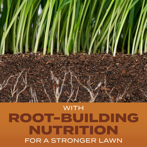 Scotts® Turf Builder® Grass Seed High Traffic Mix