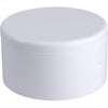 Genova Products PVC Cap (Slip)