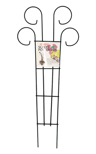 Bosmere Houseplant Trellis- 36 Scroll Pot Trellis