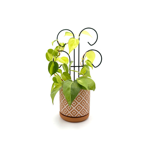 Bosmere Houseplant Trellis- 18 Mini Scroll Pot Trellis