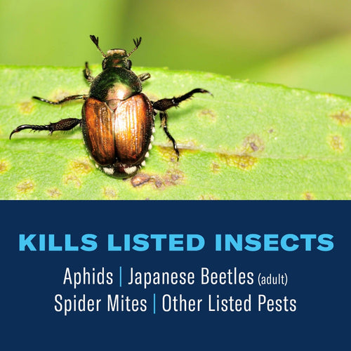 BioAdvanced 3-in-1 Insect, Disease, & Plant Mite Control