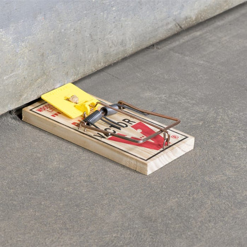 Victor® Wide Pedal Rat Trap