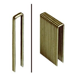 Galvanized Staples, Narrow Crown, 18-Ga., 1.5 x .25-In., 1,000-Ct.